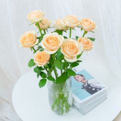 花句云南鲜花直发玫瑰花鲜花花束鲜花生活家庭插花玫瑰花鲜花随机色 香槟玫瑰10枝