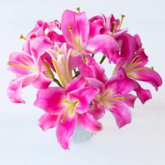 花句香水百合母亲节鲜花云南直发昆明基地直批玫瑰花束家用水养插花 罗宾百合10朵（香水百合）