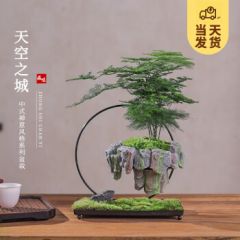 开时果 悬浮天空之城盆景 中式禅意植物桌面绿植造型盆栽源头直发包邮 天空之城：文竹+苔藓+假山石