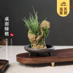 开时果 新中式盆栽创意桌面绿植盆景 假山景观桌面植物摆件源头直发包邮 菖蒲+接水托盘（小） 火山岩石盆