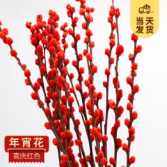 开时果 银柳鲜枝干花年宵花卉 红色真花福桶银柳水培植物室内装饰鲜花 【45cm】银柳30枝（喜庆红）